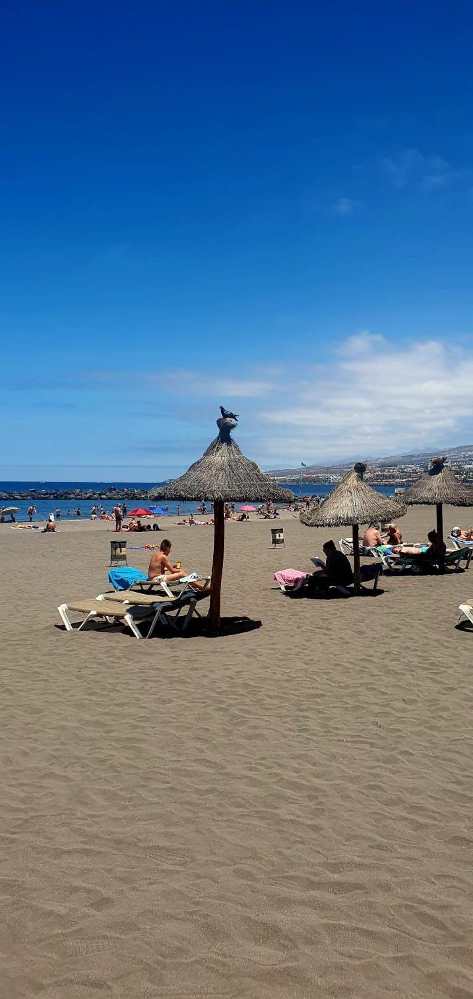 Wonderful White Appartament In Las Tortugas Playa de las Américas Extérieur photo